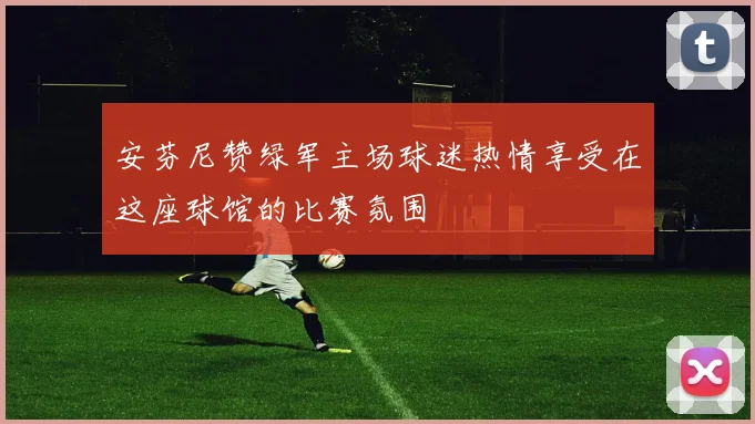 安芬尼赞绿军主场球迷热情享受在这座球馆的比赛氛围